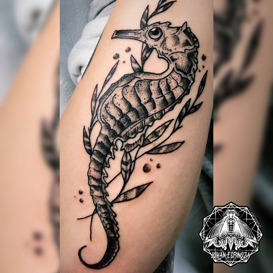 Tatuaje de un caballito de mar - tattoo me - Fuengirola - Tatuajes -  Piercings - Micropigmentación